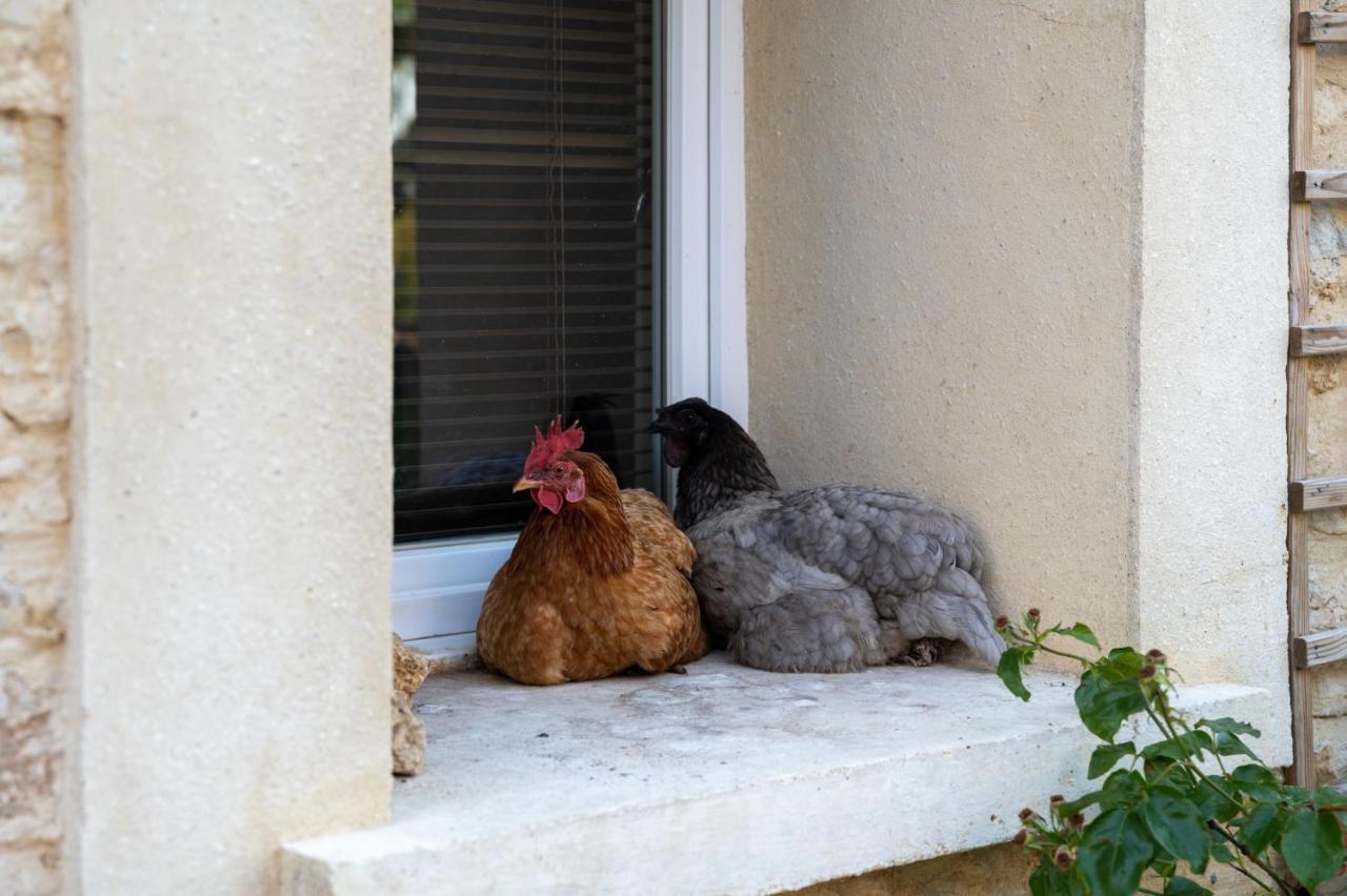 La Fralinette Bed and Breakfast Fralignes Buitenkant foto